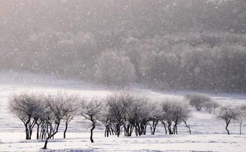 塞外奇景 飞雪入画