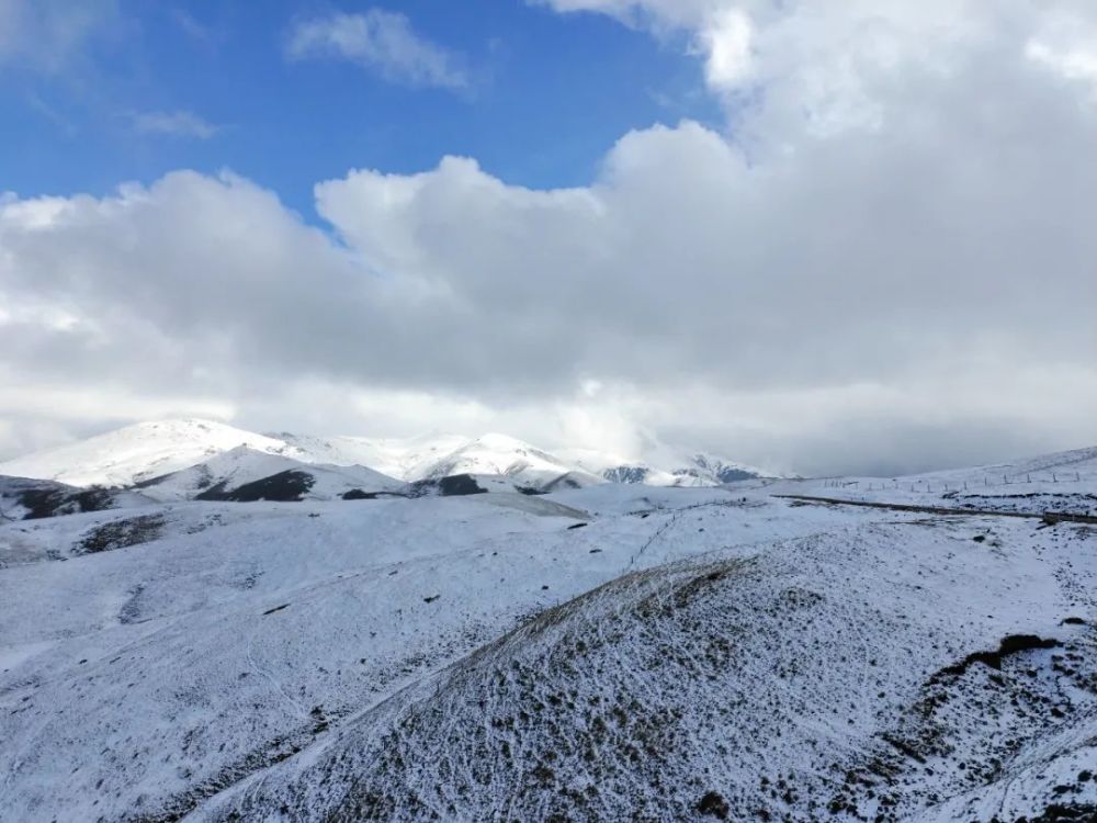 会泽大海草山下雪啦超美雪景来袭