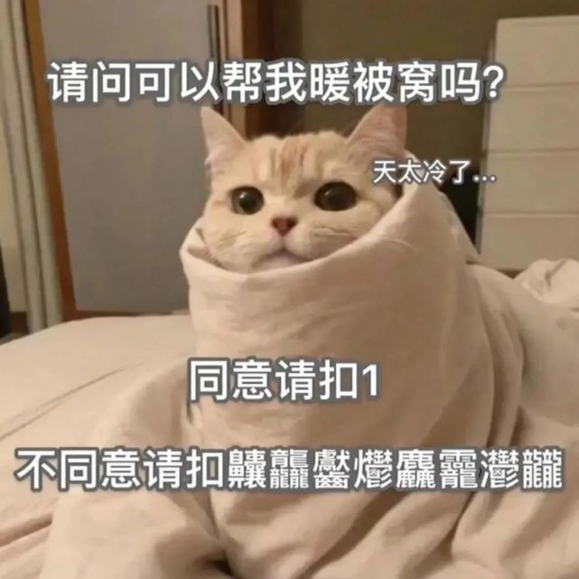 沙雕表情包|洞悉一切的笑容