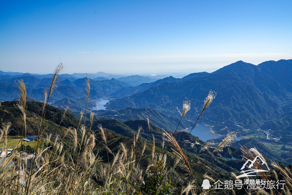 在来潮州旅游之前,我只知道凤凰山是名茶凤凰单丛的独有产地,却不知
