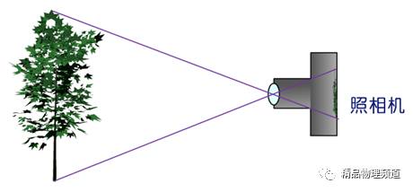 4.如图所示是照相机的成像示意图,以下说法中正确的是(    )d.