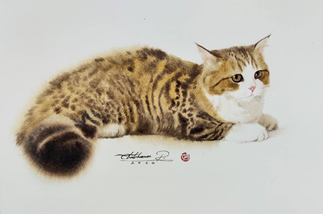 好可爱的水彩猫咪,画师chatchawarn