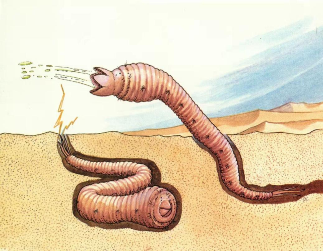《沙丘》里沙虫的原型是谁?蒙古死亡蠕虫应该拥有姓名