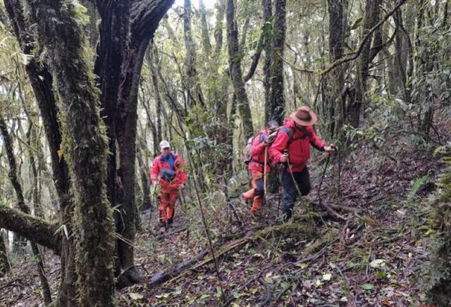 生死哀牢山:4名地质调查队员在原始森林无人区的最后