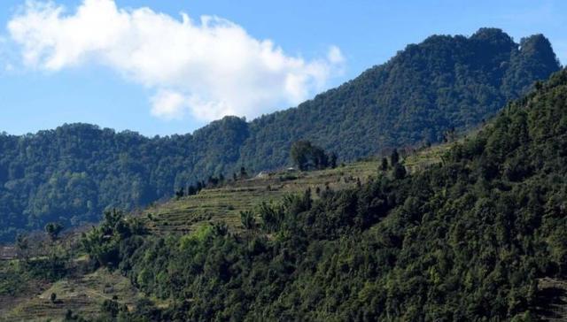 一是藏进了哀牢山中的地道,但是没有人知道地道的入口,二是李润之的