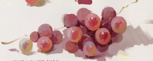 西安画室美术集训-水粉教学葡萄的色彩静物教程