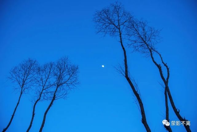 "写的是正月十五元夕,青年男女一起观灯,月下相约的浪漫.