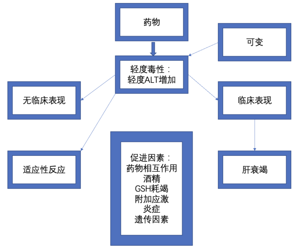 一文读懂丨药物如何造成肝损伤