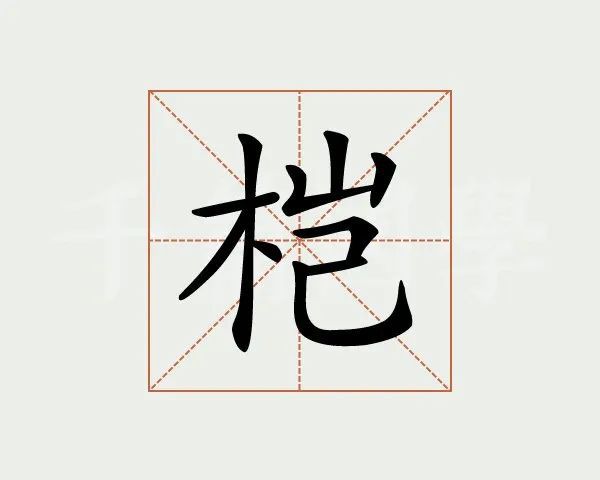 每日一字桤怎么读