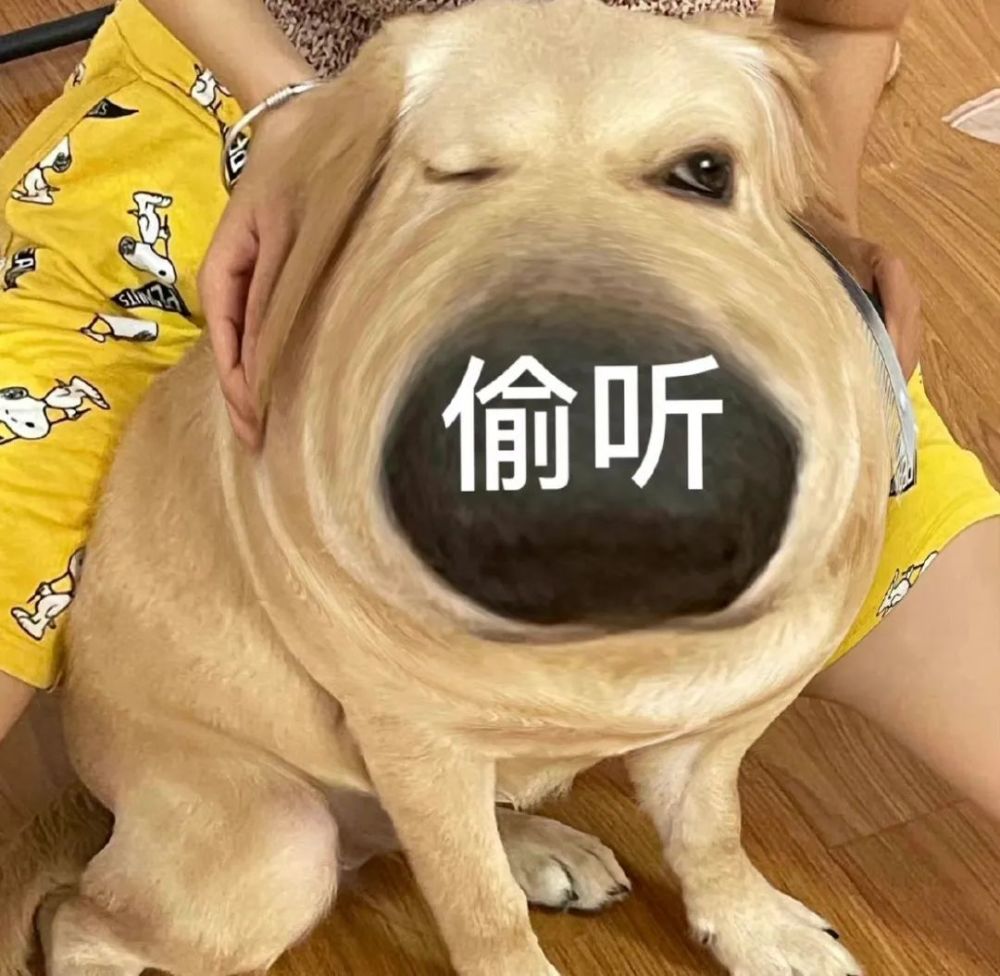 哄对象专用表情包老婆开门呀