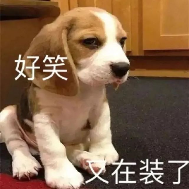 今日热门表情包1128达咩