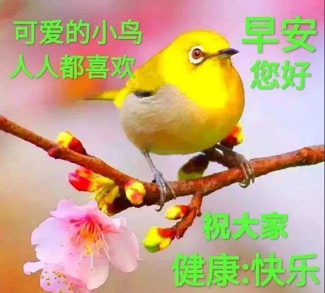 早安送朋友的祝福问候温馨语配动态美图早上好祝福语录大全