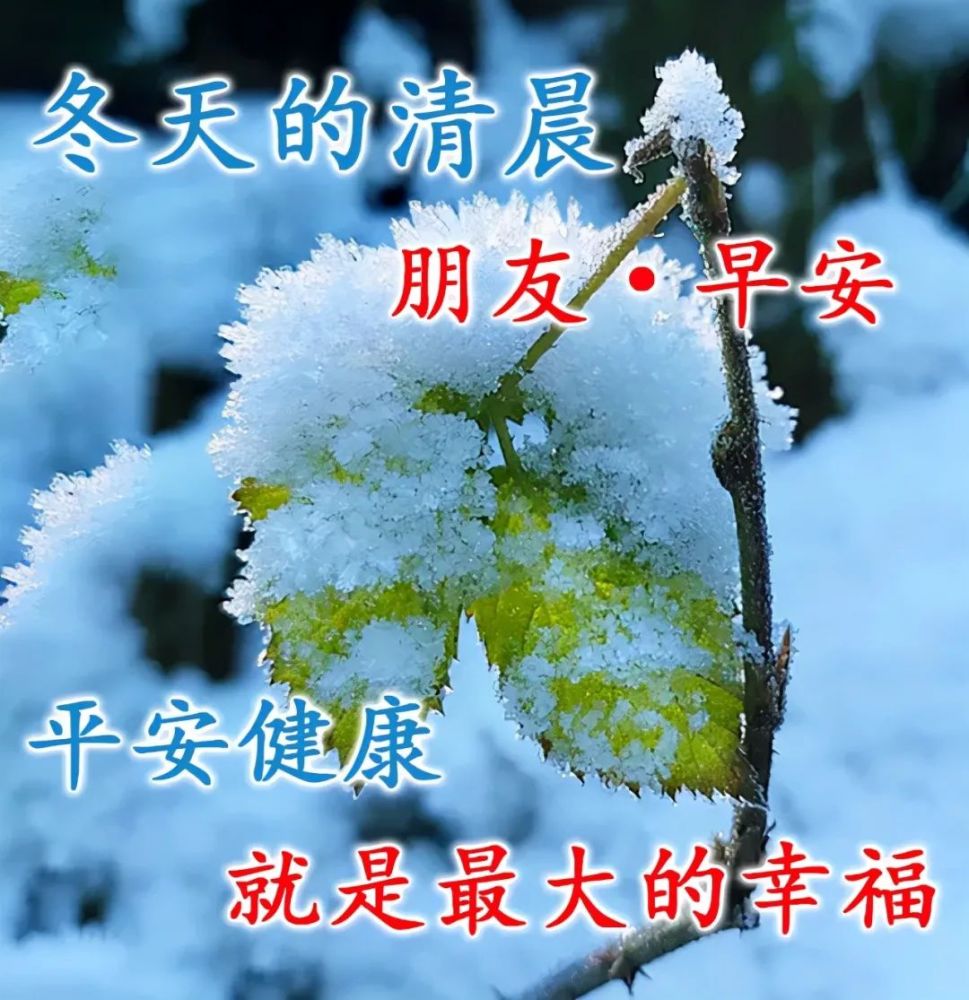 2021年1月03日清晨早上好问候祝福动态表情图片最新早安问候祝福图片