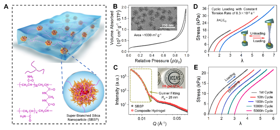 化学所邱东am纳米颗粒增强水凝胶5000次拉伸不疲劳