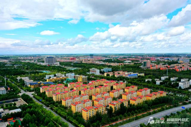 盛夏的新疆生产建设兵团第三师图木舒克市生机盎然(图片由新疆生产