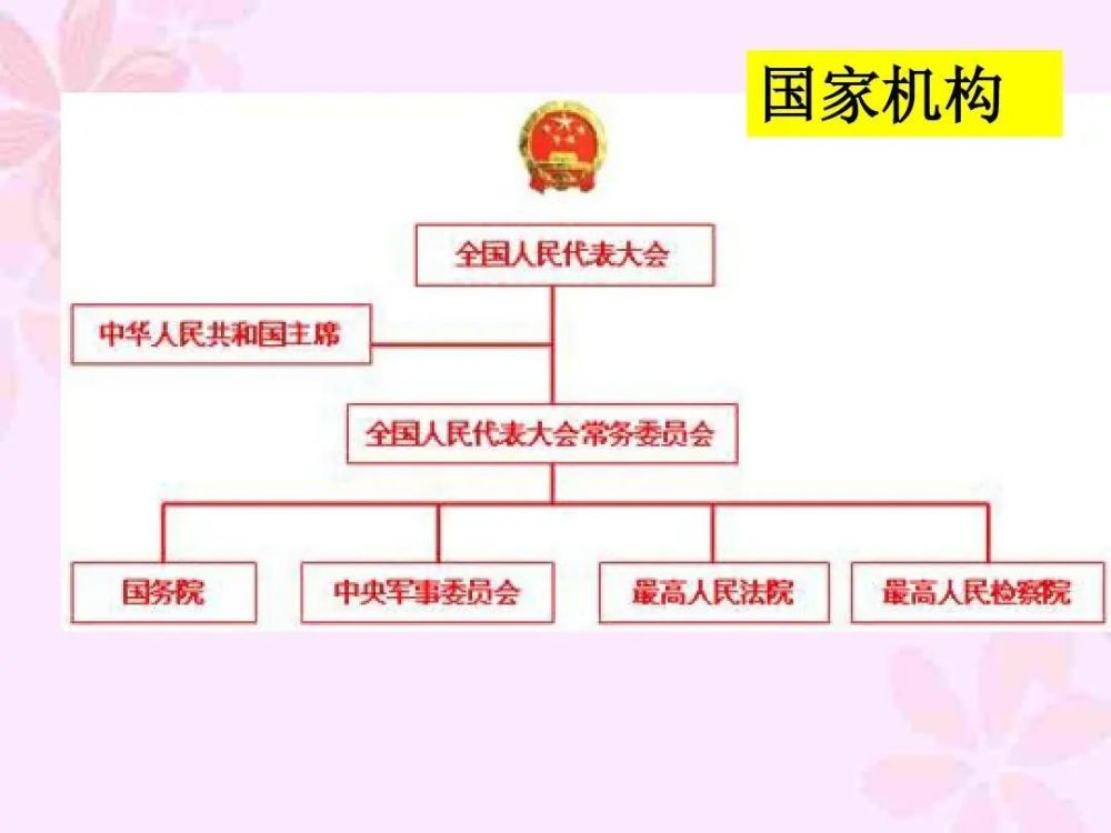 第十一节 | 国家机构     案例引入 01 我们学习了一些基本的法律