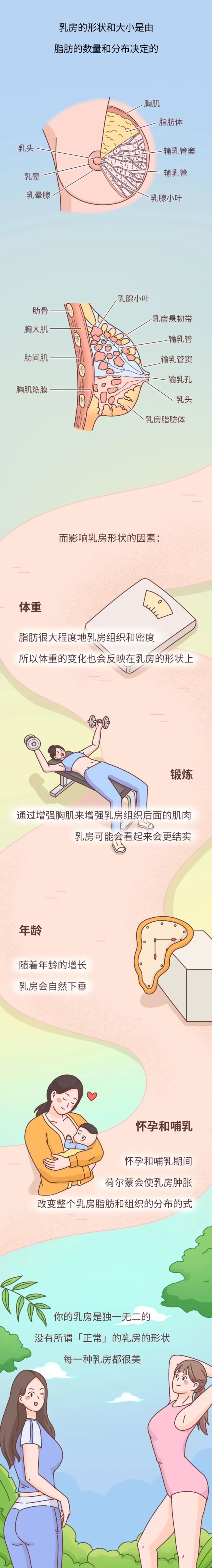 原来乳房有这么多种形状?看看你是哪一种