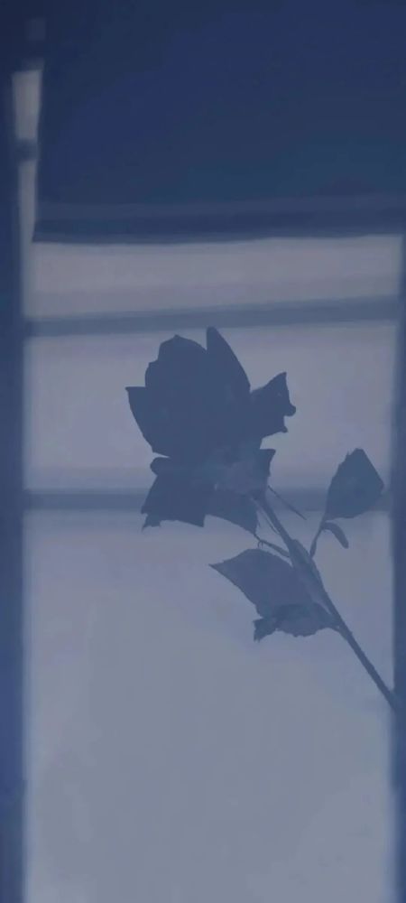 壁纸蓝色系壁纸简约干净让人心情舒畅
