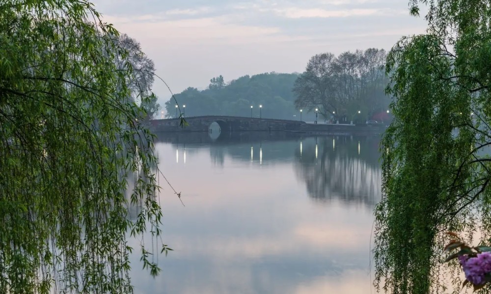 西湖的春天美景.