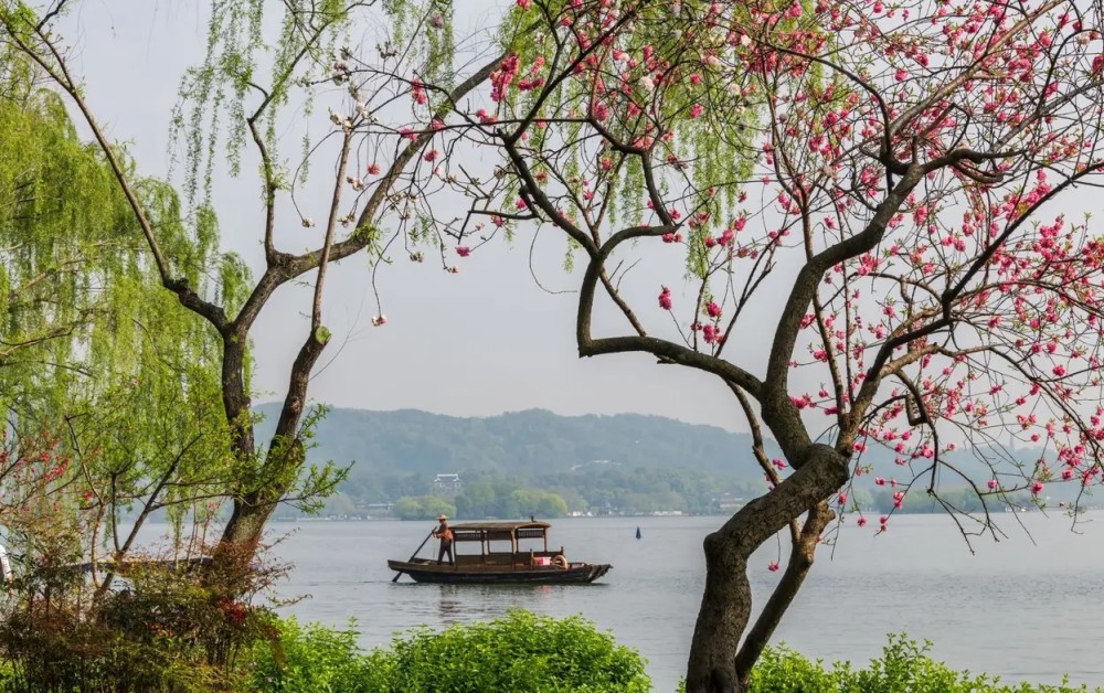 西湖的春天美景.