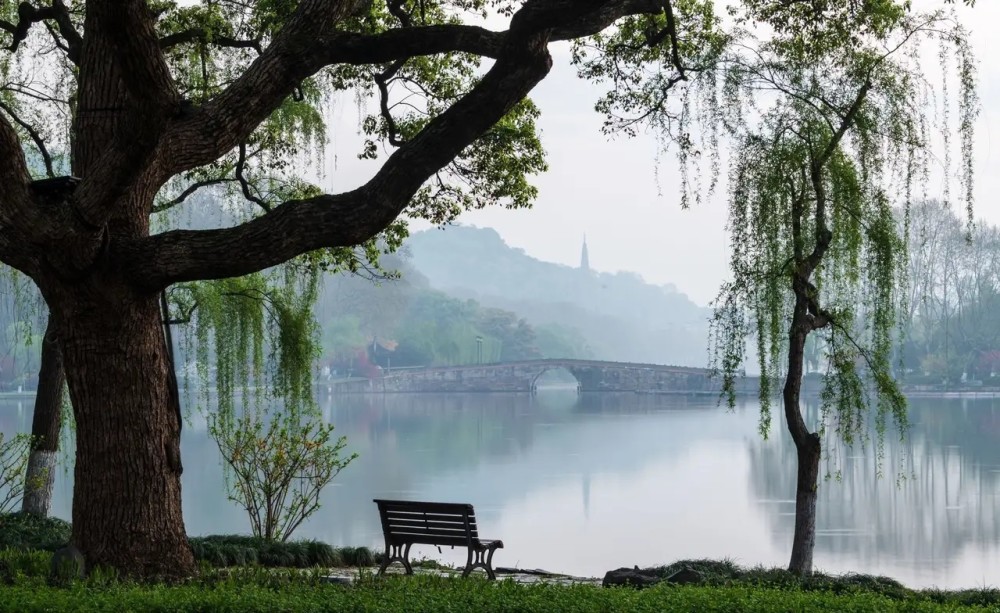 西湖的春天美景.