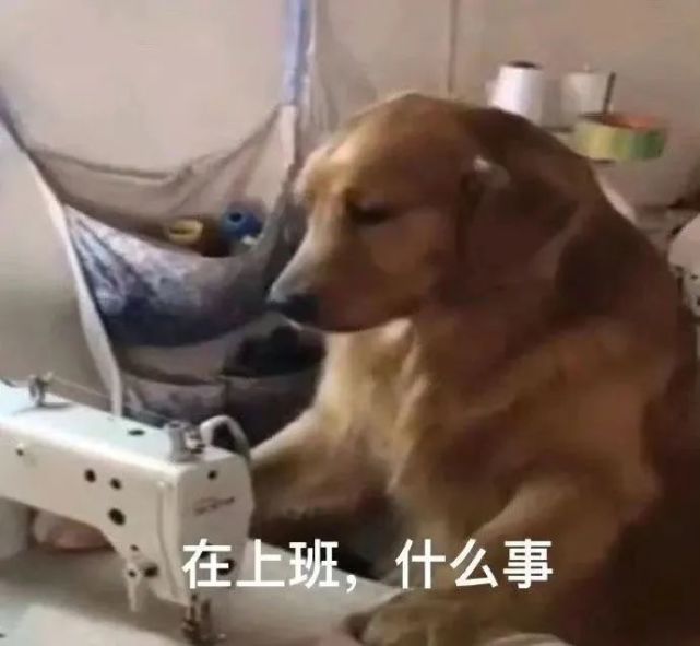 表情包我emo了我不李姐哒咩