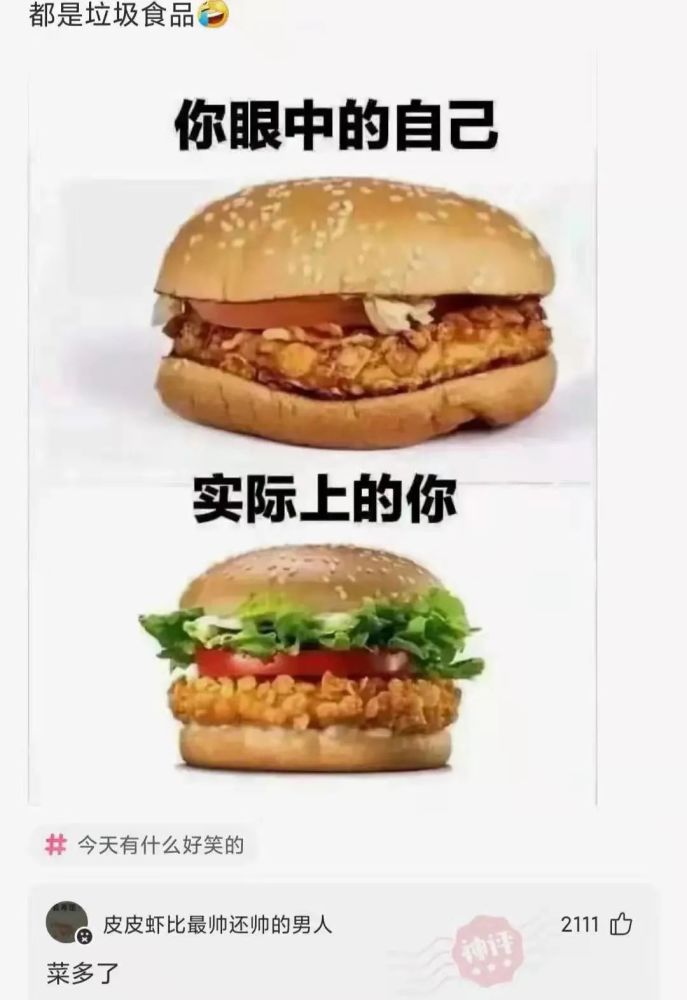 沙雕梗图(35):你把这个笑话拔高到了不属于它的高度