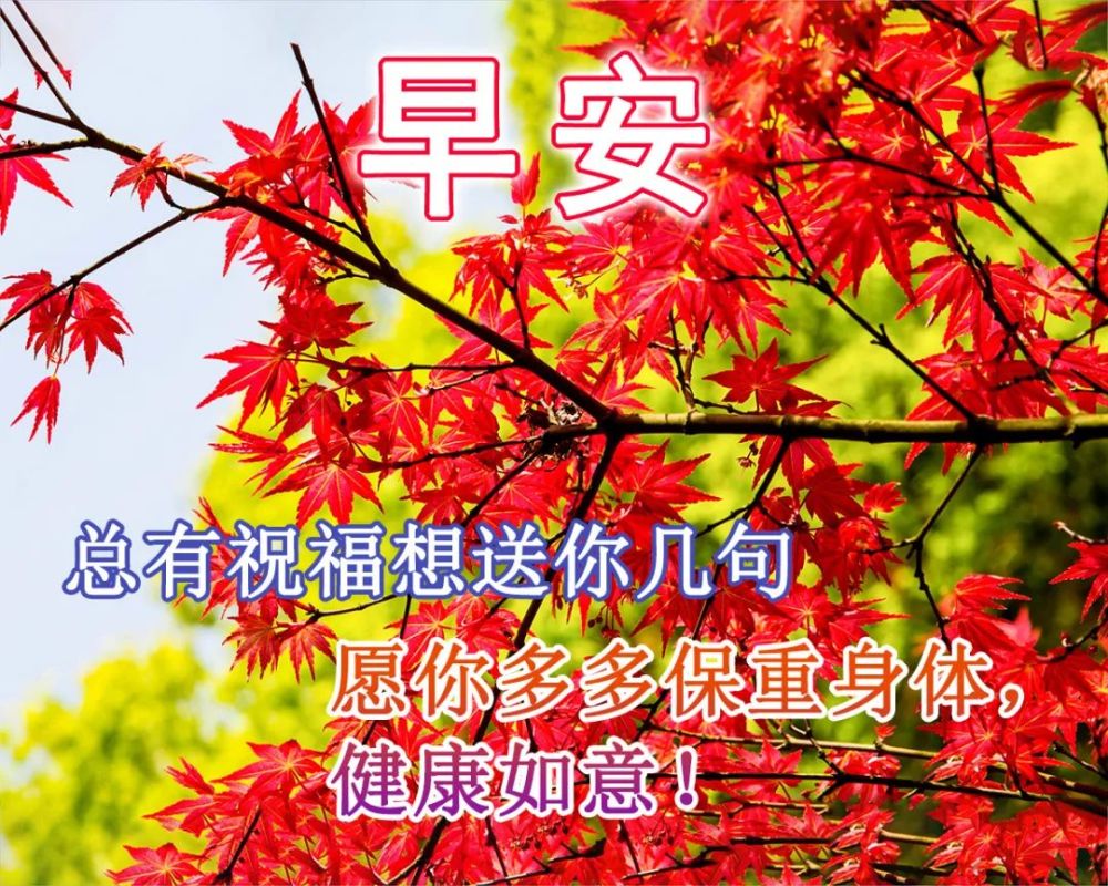 2021年11月30日清晨早上好问候祝福动态表情图片 早安问候祝福图片带