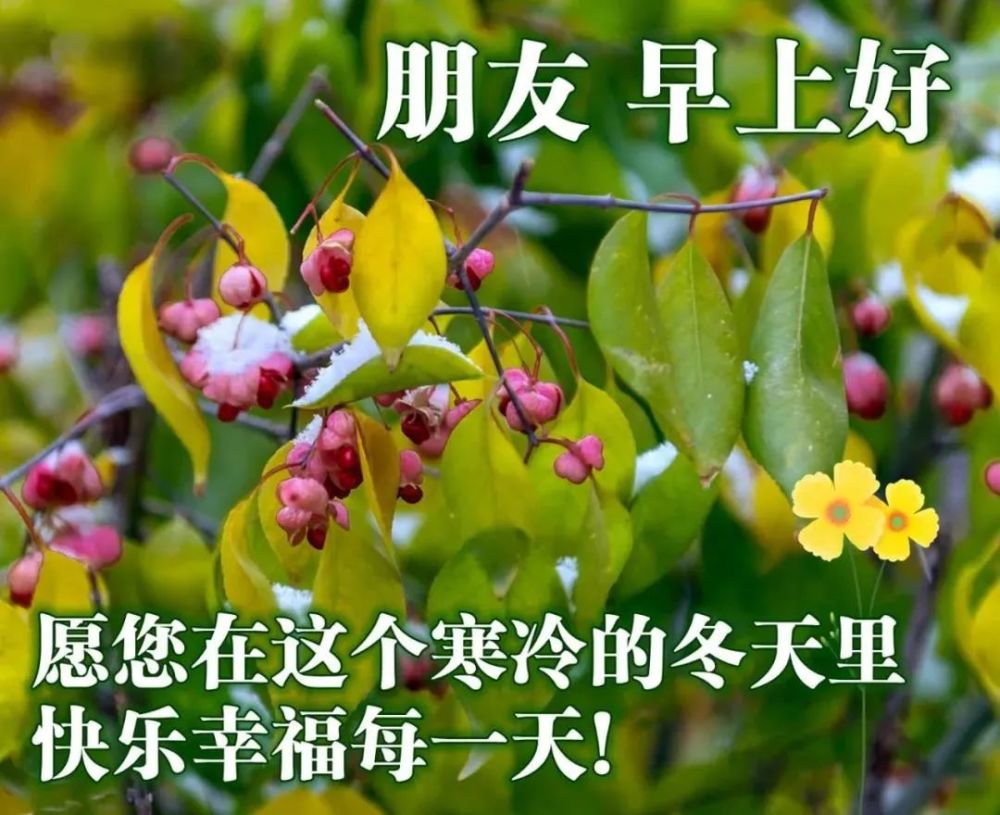 清新漂亮冬日清晨早安图片带字好看的冬日风景早上好问候祝福语