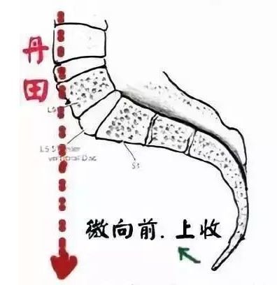 尾闾在传统武术中的传说作用,原来是真的