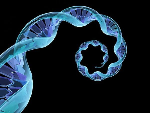 nature子刊:清华大学张强锋团队开发rna结构测序数据缺失信号恢复的人
