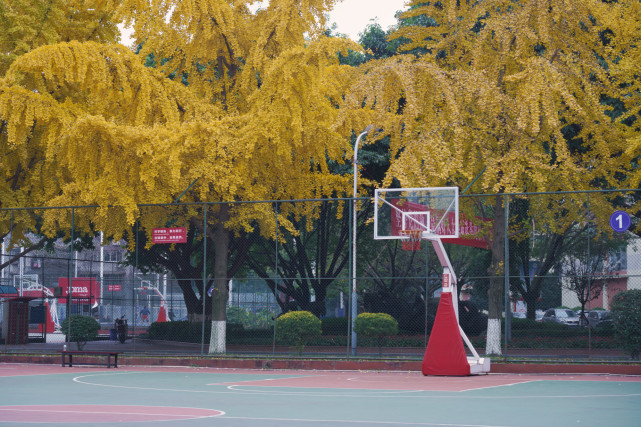 来源:川体在线 钟梦樱摄来源:成都体育学院学生会06 四川师范大学来源