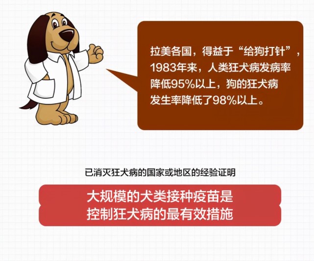 然而狂犬病潜伏期却有长有短,绝大多数人在1-3个月会发病,但是也有