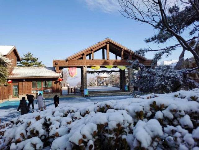 齐鲁雪乡跑马岭景区昨晚下雪了