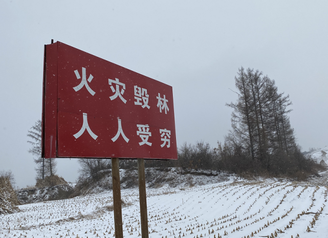 今天,可徐久彪的黑瞎子沟,没人知道在哪.