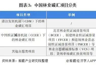 你了解我国的林业碳汇交易吗?_腾讯新闻