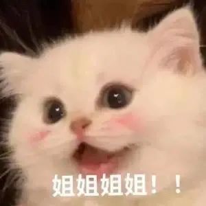 表情包姐姐