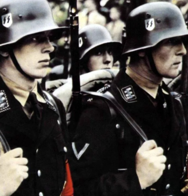 二战前夜的德国:纳粹党未夺权前,为何能私建党卫军和冲锋队?