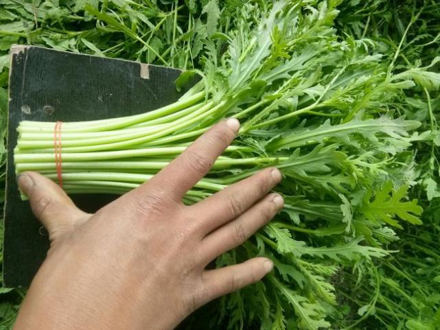 制作步骤:难度分析:需要挑选好茼蒿菜和土鸡蛋,茼蒿菜彻底清洗干净