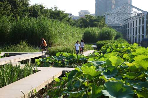 中山岐江公园联