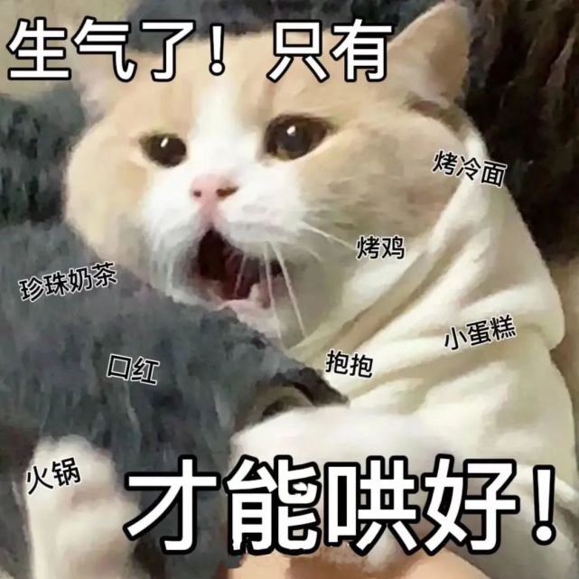 斗图表情包|我一整个大破防