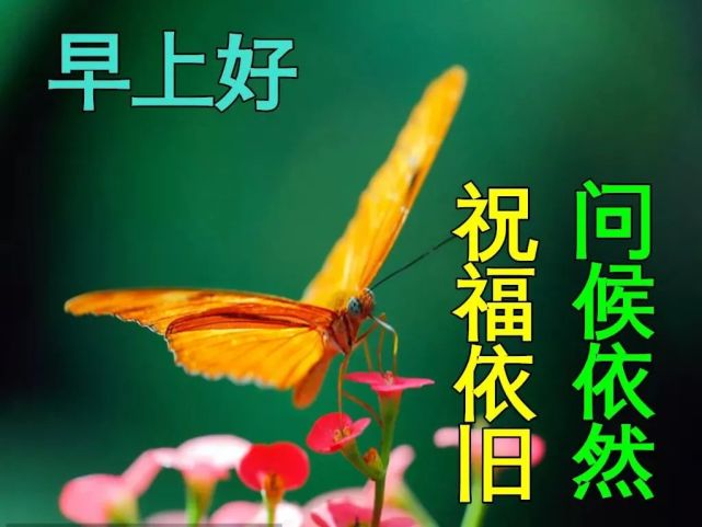 12月1日早上好日常祝福语大全,早晨好日常问候语录