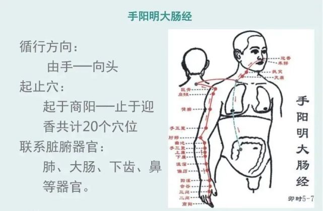 十二经络-手三阴,手三阳,足三阴,足三阳的走向和位置