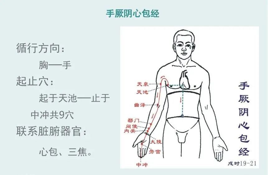 十二经络-手三阴,手三阳,足三阴,足三阳的走向和位置