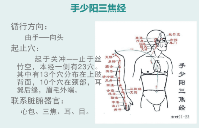 六:手少阳三焦经—从手走头,行于上肢背侧正中间,耳廓外缘.