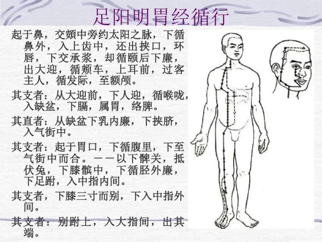 十二经络-手三阴,手三阳,足三阴,足三阳的走向和位置