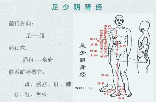 十二经络-手三阴,手三阳,足三阴,足三阳的走向和位置