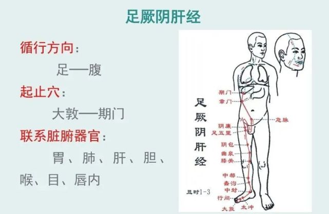 十二经络-手三阴,手三阳,足三阴,足三阳的走向和位置