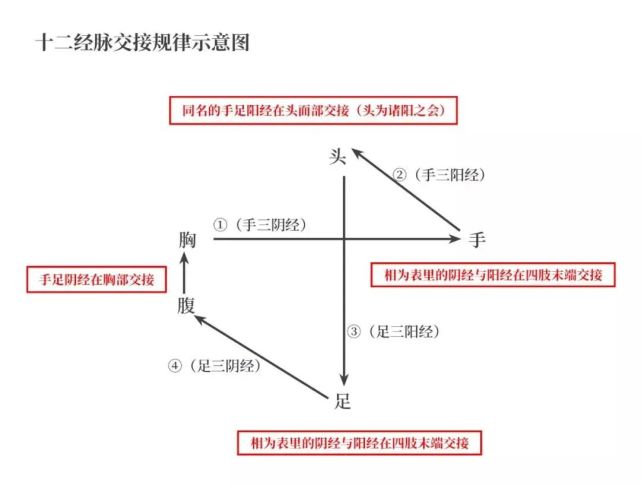 十二经络手三阴手三阳足三阴足三阳的走向和位置