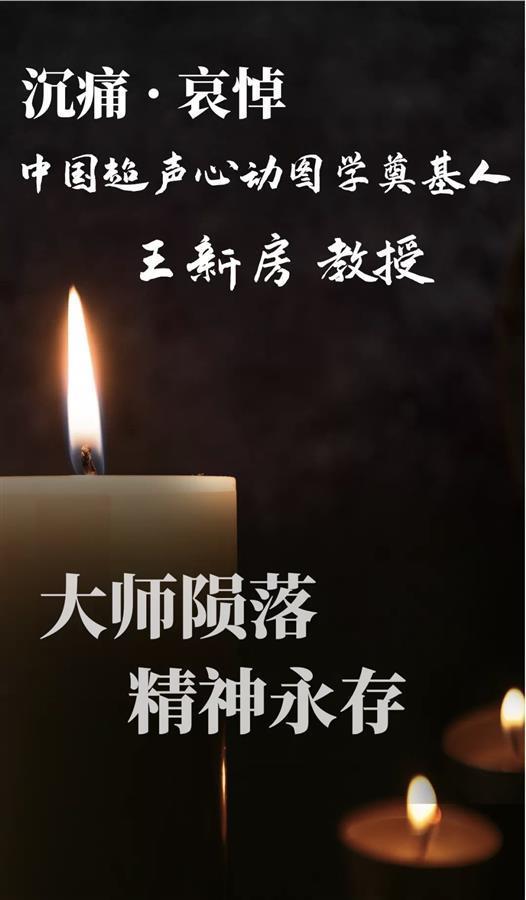 大师陨落!